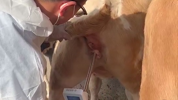 甘肅省平?jīng)鍪星f浪縣畜牧站-愛牧多案例